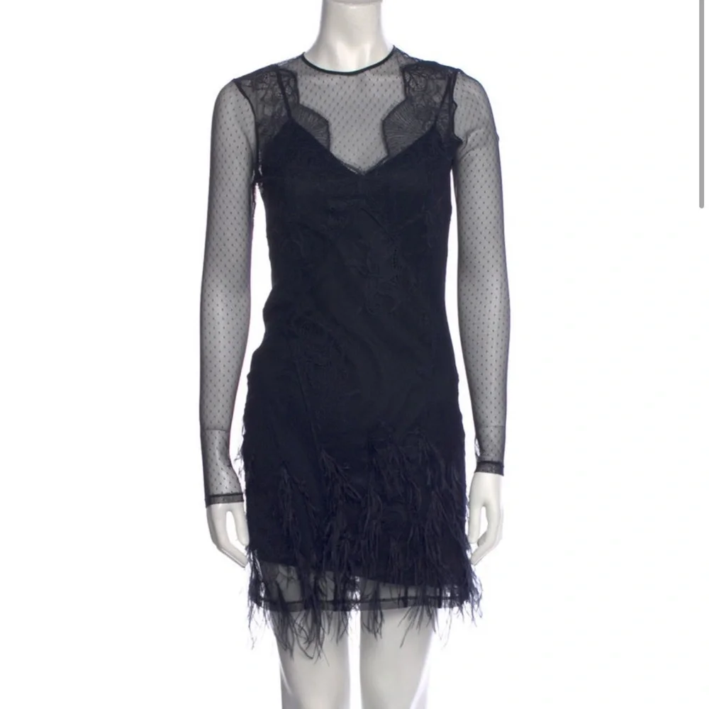 Cinq A Sept Amabella Embroidered Cocktail Dress Ditsy Mesh Feathered Hem size 4 - Picture 9 of 9